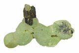 Botryoidal Prehnite and Epidote Association - Mali #137545-1